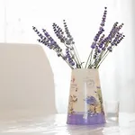 Dania Appartement *