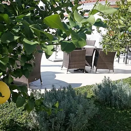 Dania Apartment